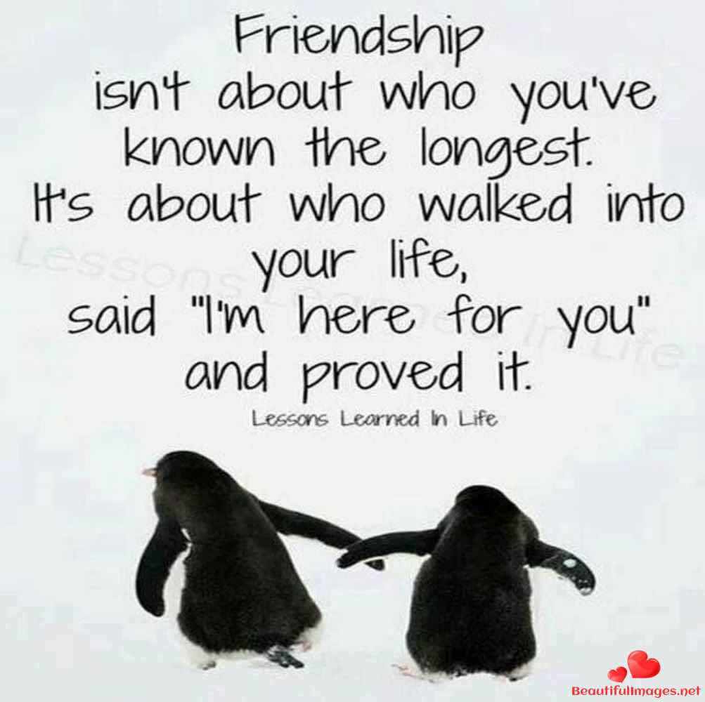 Friendship-Quotes-Facebook-Whatsapp-223