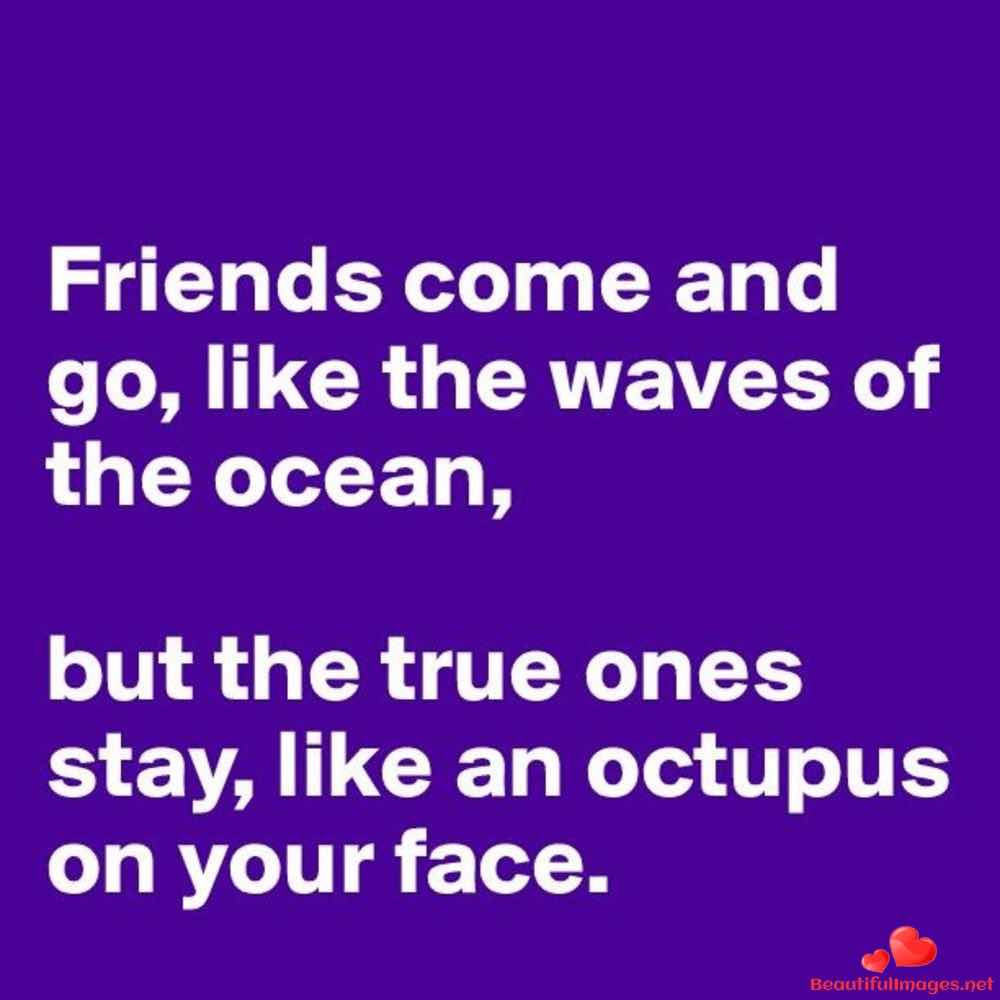 Friendship-Quotes-Facebook-Whatsapp-228