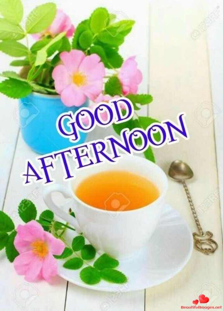 Good-Afternoon-Facebook-Whatsapp-102