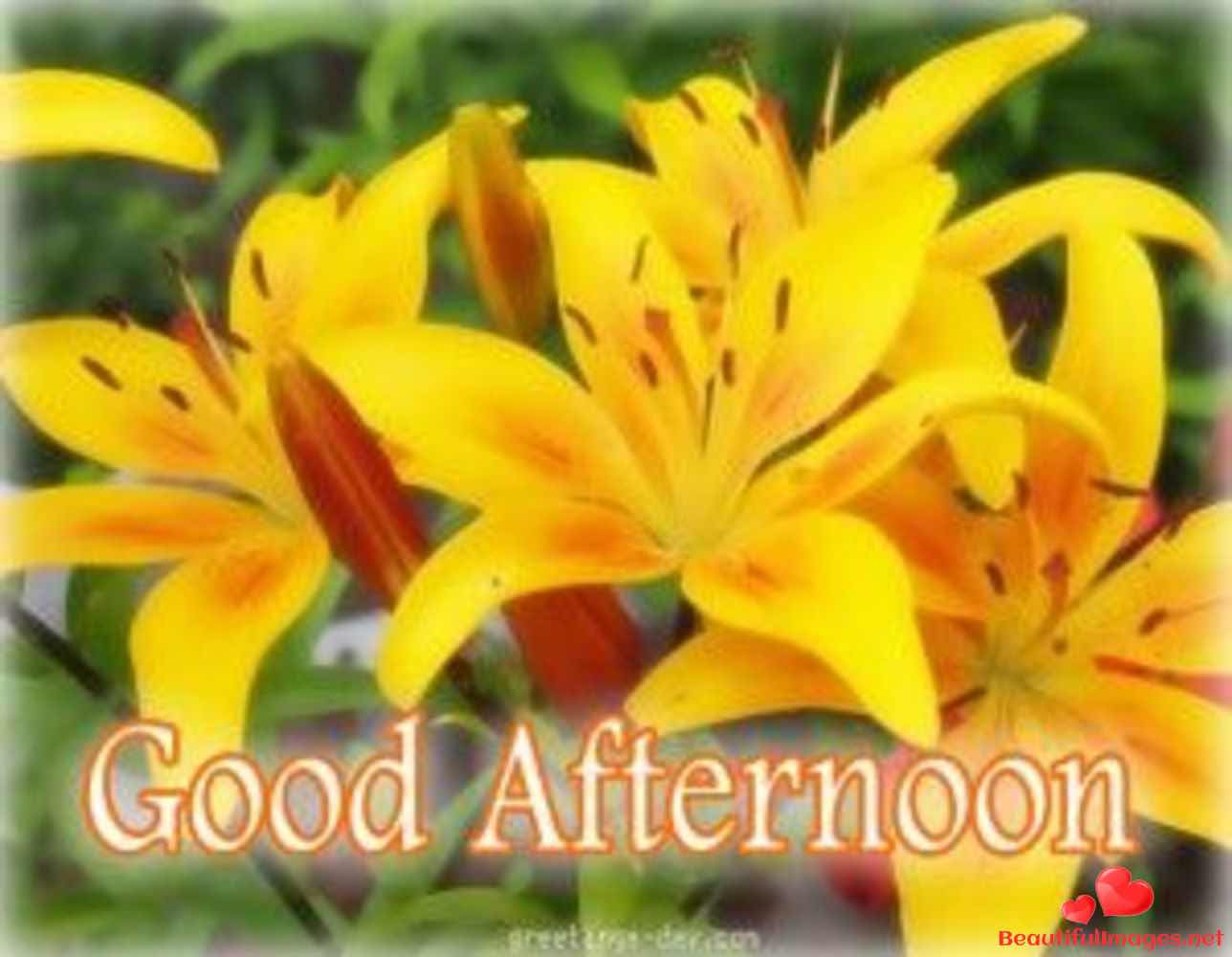 Good-Afternoon-Facebook-Whatsapp-114
