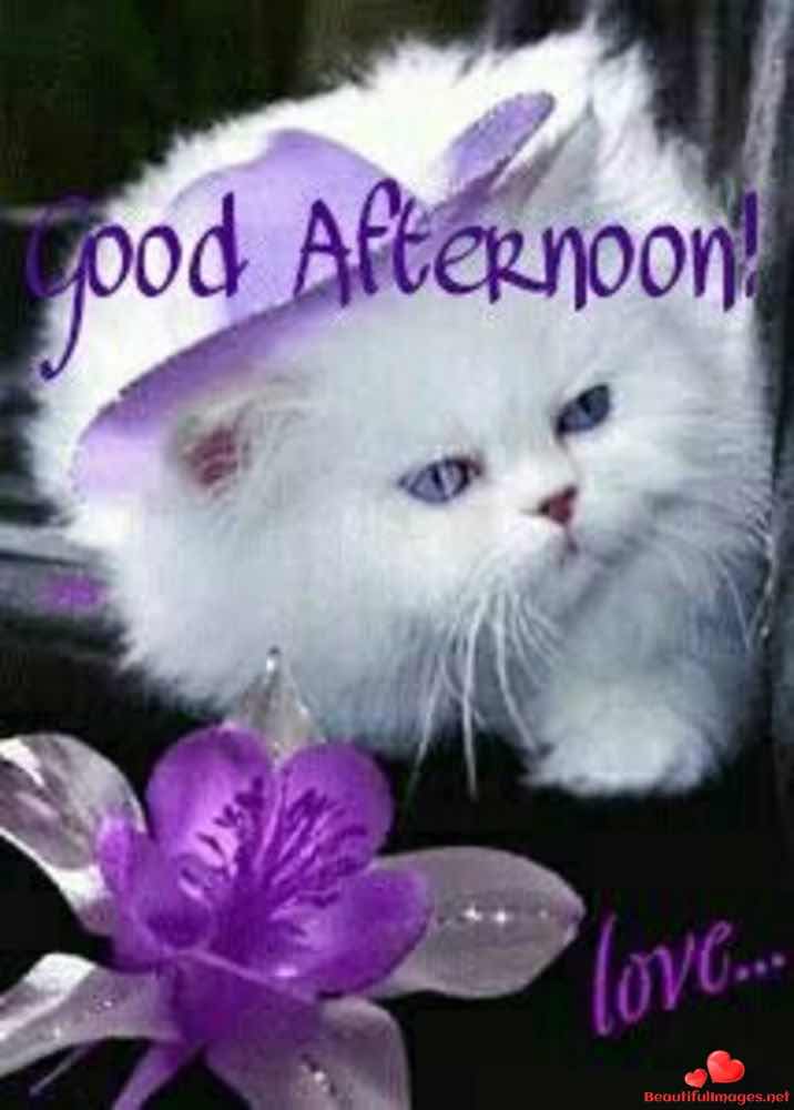Good-Afternoon-Facebook-Whatsapp-128