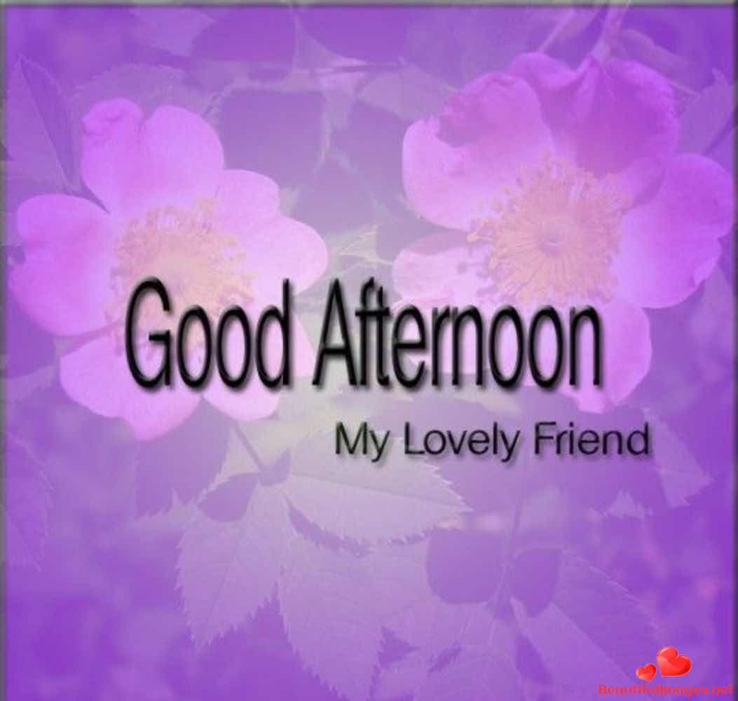 Good-Afternoon-Facebook-Whatsapp-137