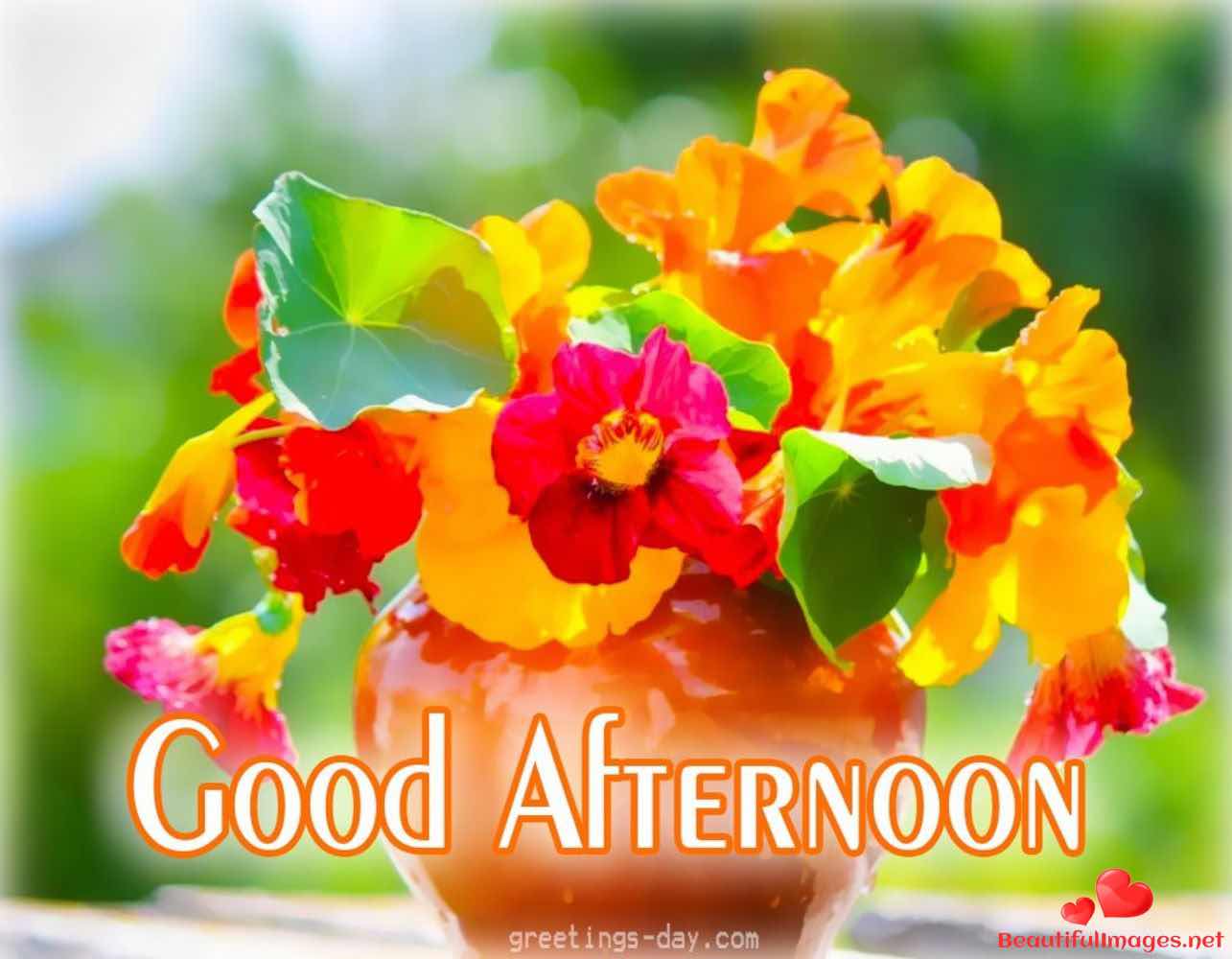 Good-Afternoon-Facebook-Whatsapp-142