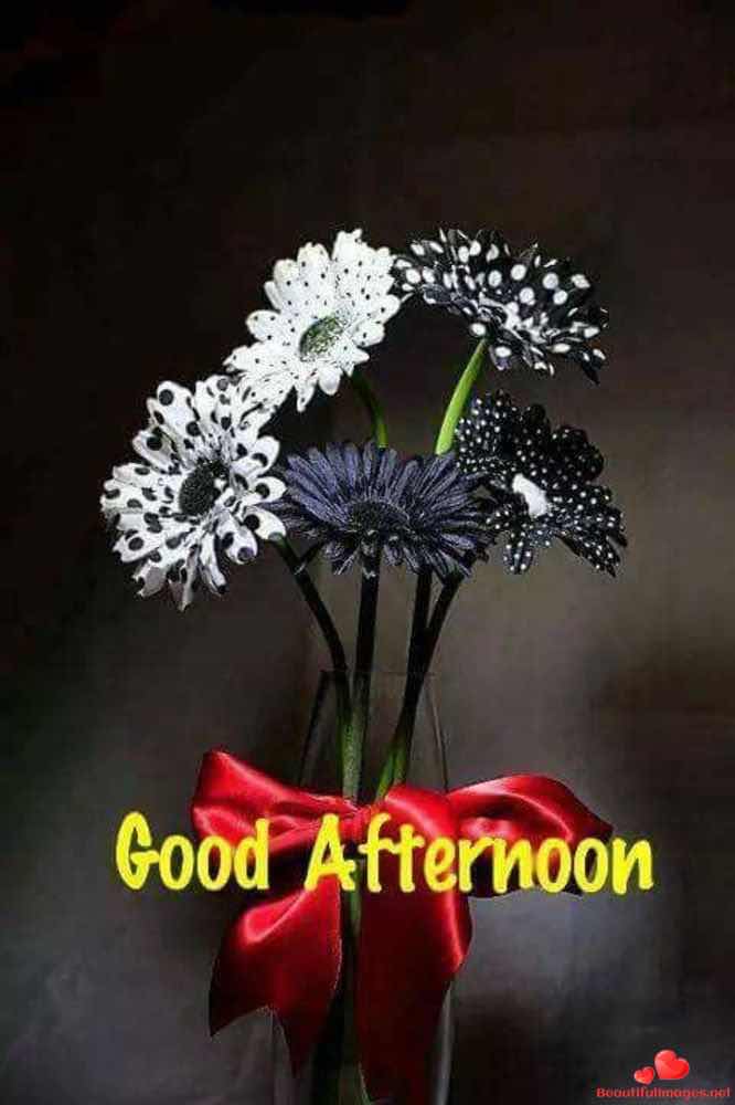 Good-Afternoon-Facebook-Whatsapp-154