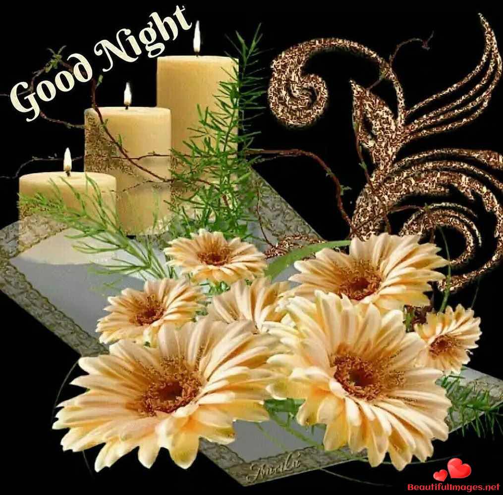 Good-Night-Images-Beautiful-Phots-Whatsapp-660
