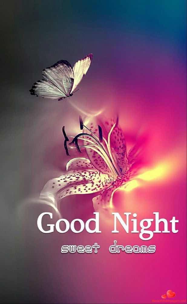 Good-Night-Images-Beautiful-Phots-Whatsapp-728