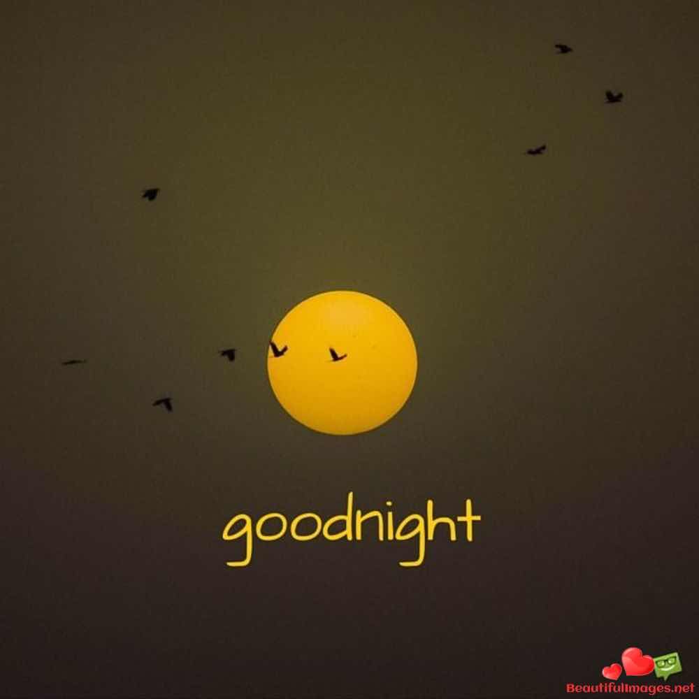 Good-Night-Nice-Pictures-Whatsapp-364