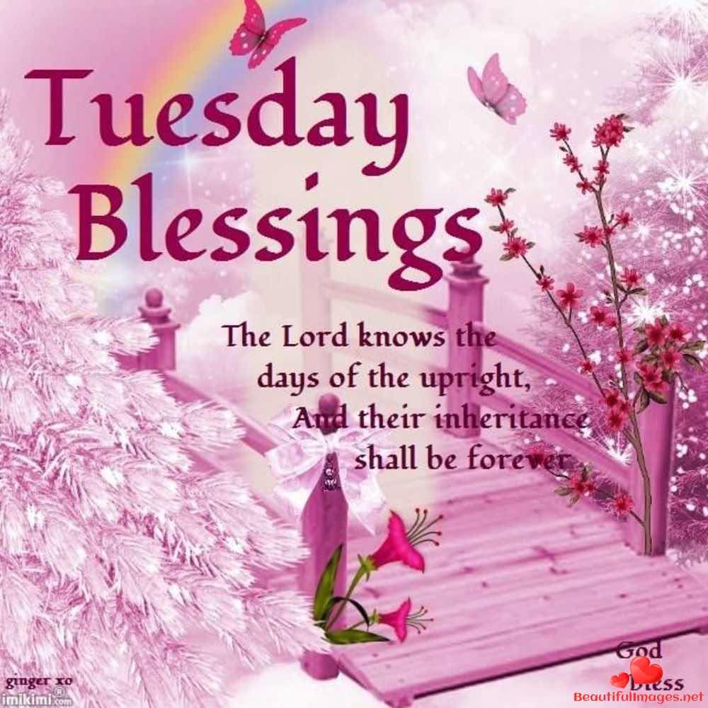 Tuesday-Blessings-Quotes-Whatsapp-288