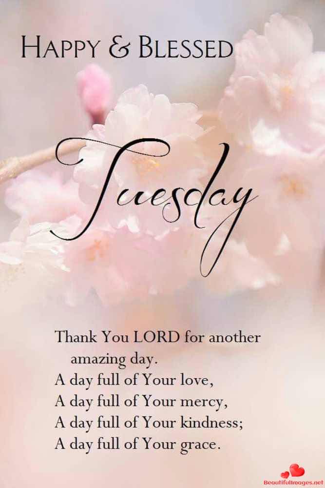 Tuesday-Blessings-Quotes-Whatsapp-29