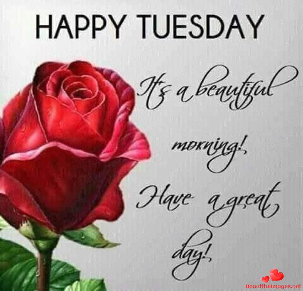 Tuesday-Blessings-Quotes-Whatsapp-300