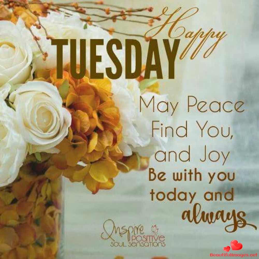 Tuesday-Blessings-Quotes-Whatsapp-57