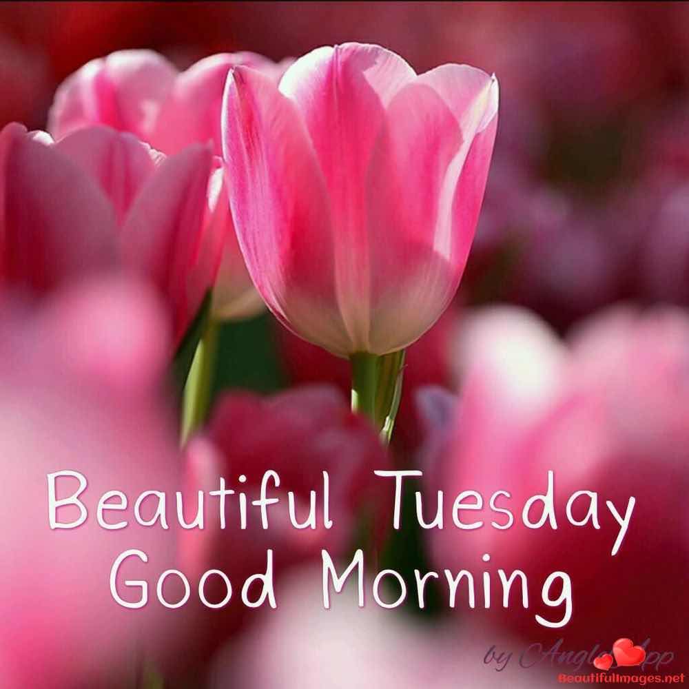 Tuesday-Good-Morning-Images-122