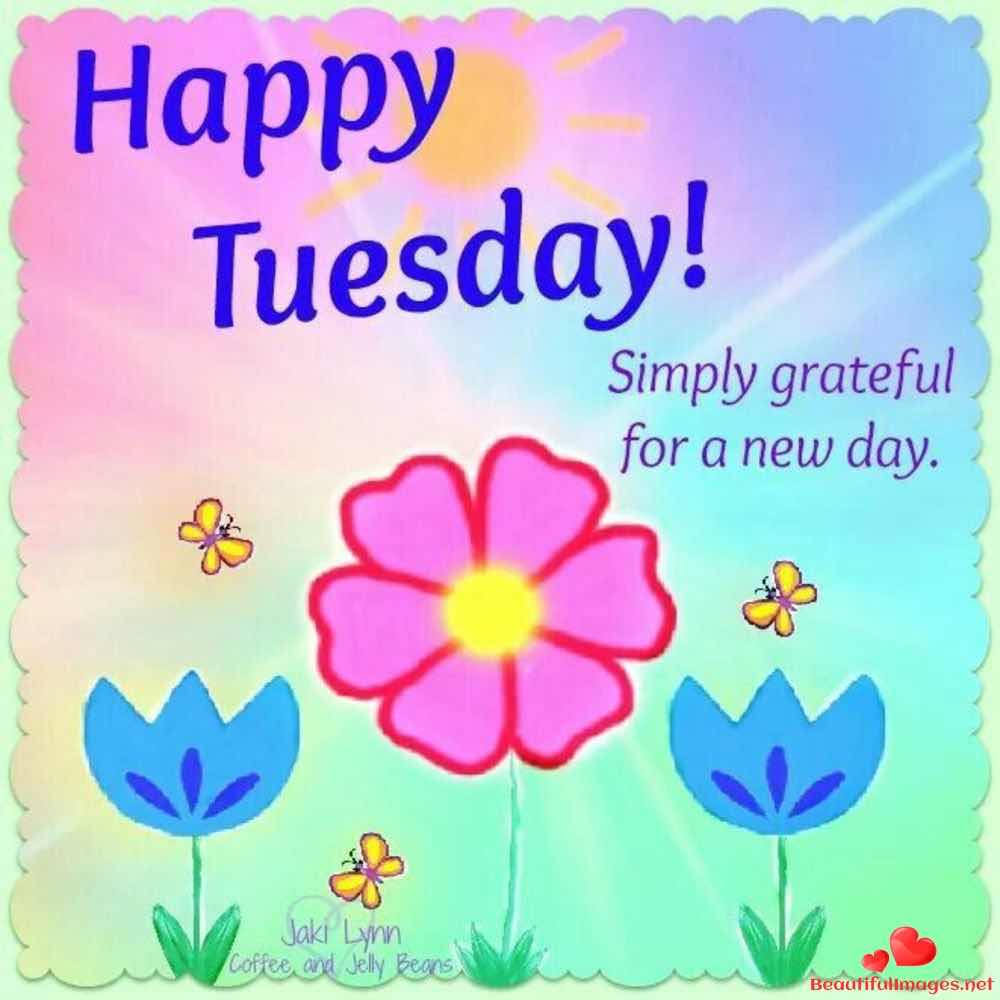 Tuesday-Good-Morning-Images-Whatsapp-189