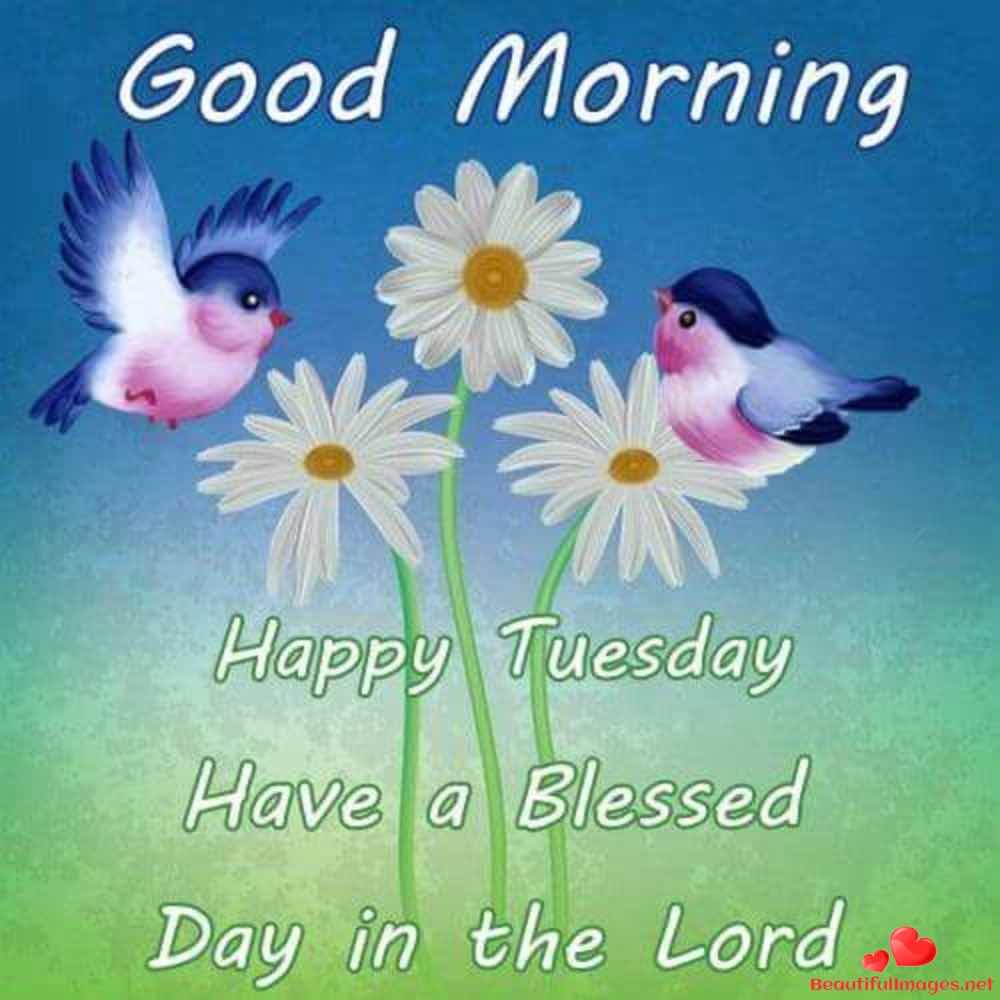 Tuesday-Good-Morning-Images-Whatsapp-194