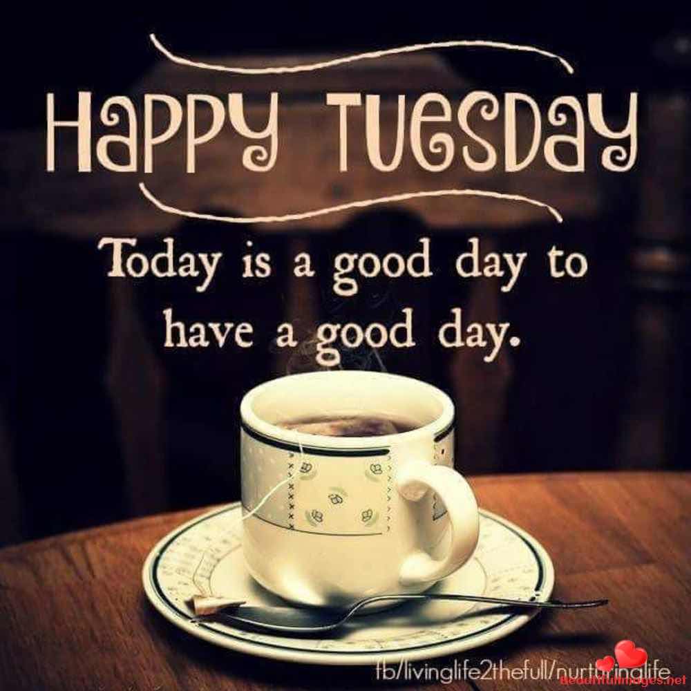 Tuesday-Good-Morning-Images-Whatsapp-198