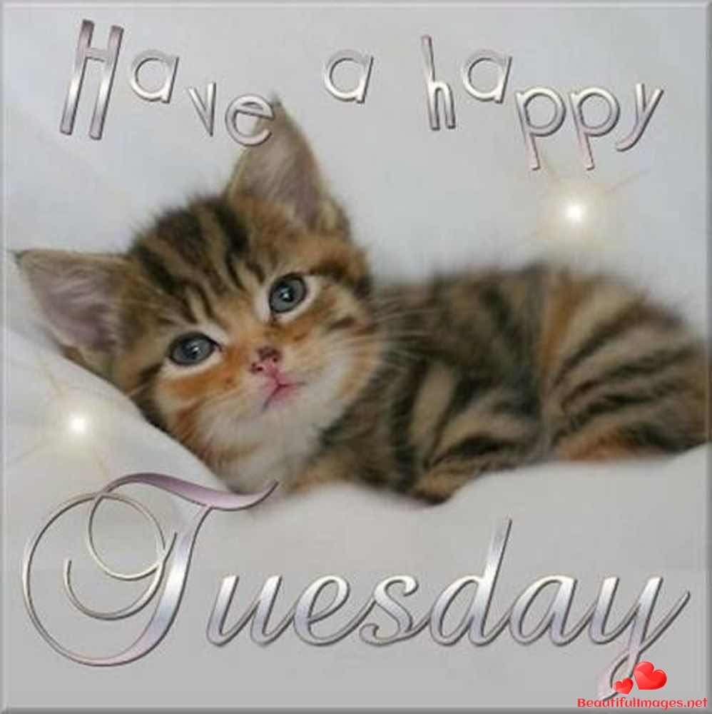 Tuesday-Good-Morning-Images-Whatsapp-199