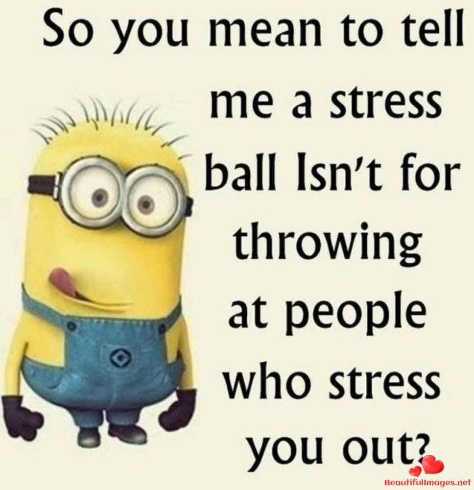 Funny Quotes About Work Stress Funny Quotes About Stress No Stress Funny Quotes Pictures 